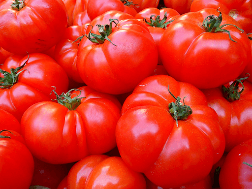 Montón de tomates para la fabricación de ketchup.