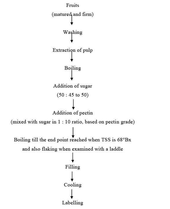 Fruit jam processing technological flowchart